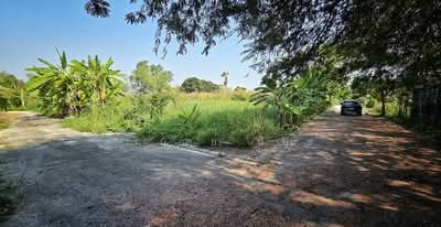 ขาย - ที่ดินเปล่า 243 ตรว. ซอยสุขใจ 2 เมืองปทุมธานี ราคาไม่แพง, ปทุมธานี