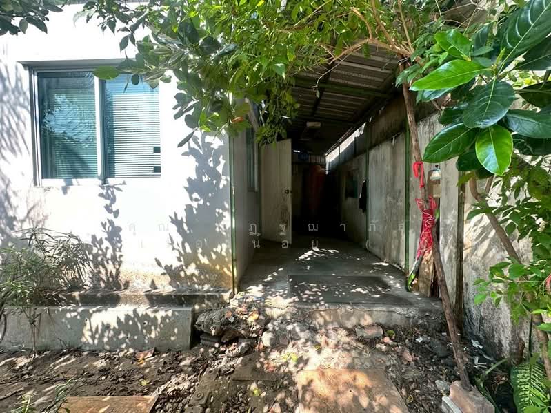 Baan Pruksa 92 Rangsit – Lamlukka : บ้านพฤกษา 92 รังสิต – ลำลูกกา, ปทุมธานี, ถนน ชลมาร์คพิจารณ์, ลาดสวาย, ลำลูกกา, ปทุมธานี, 100 ตร.ม., ทาวน์เฮ้าส์ ขาย, โดย คุณ ณัฏฐฌาภัส แก้วเมืองน้อย (เฌอ), 500202731 - DDproperty.com