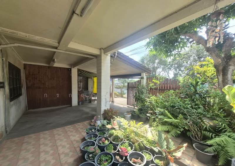 Chokaeo Village : หมู่บ้านช่อแก้ว, Pathum Thani, พหลโยธิน 64, Khu Khot, Lam Luk Ka, Pathum Thani, 4 Bedrooms, 180 sqm, Townhouse For Sale, by กรกฤตย์ บุญสระ, 500202794 - DDproperty.com