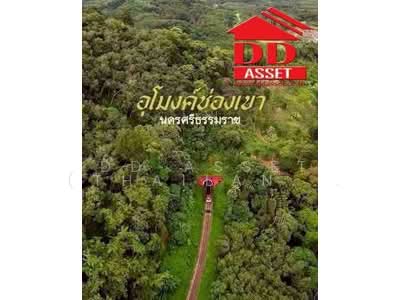 ขาย - ขายที่ดินติดถนนเอเซีย 5-3-5 ไร่ จ.นครศรีธรรมราช ช่องเขาถ้ำใหญ่, นครศรีธรรมราช