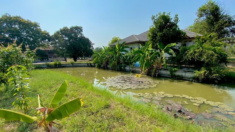 ที่ดินสามโคก ปทุมธานี, Pathum Thani, Thai Ko, Sam Khok, Pathum Thani, , 548 sqm, Land For Sale, by The Best Property ไก่, 500202818 - DDproperty.com