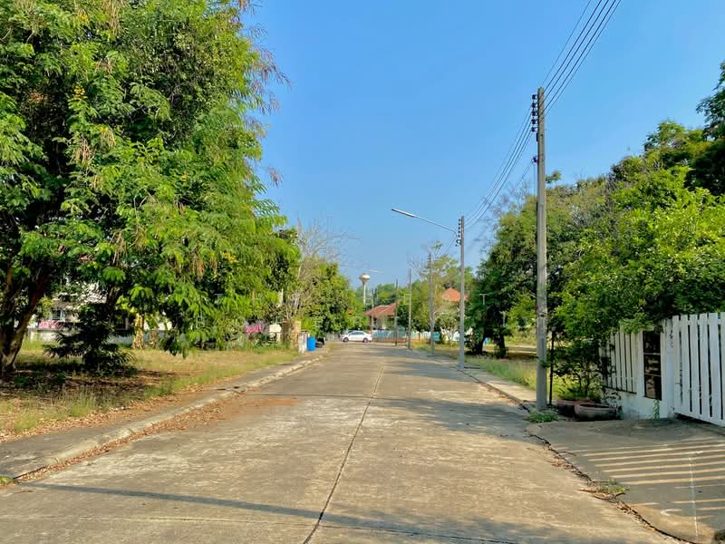 ที่ดินสามโคก ปทุมธานี, ปทุมธานี, ท้ายเกาะ, สามโคก, ปทุมธานี, 548 ตร.ม., ที่ดิน ขาย, โดย The Best Property ไก่, 500202818 - DDproperty.com