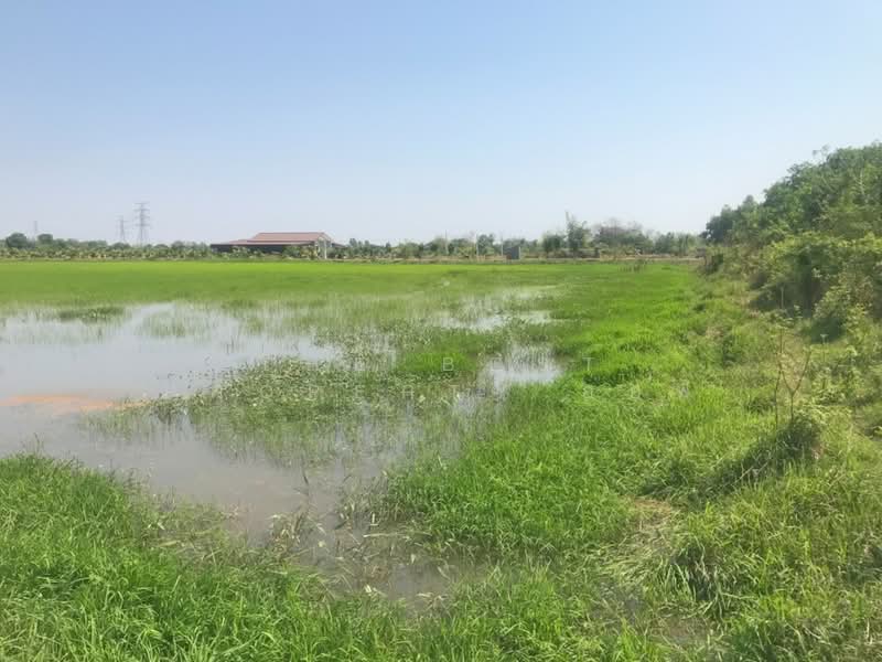 ที่ดินบ้านโพธิ์ ฉะเชิงเทรา, ฉะเชิงเทรา, แหลมประดู่, บ้านโพธิ์, ฉะเชิงเทรา, 29,584 ตร.ม., ที่ดิน ขาย, โดย The Best Property ออฟ, 500202862 - DDproperty.com