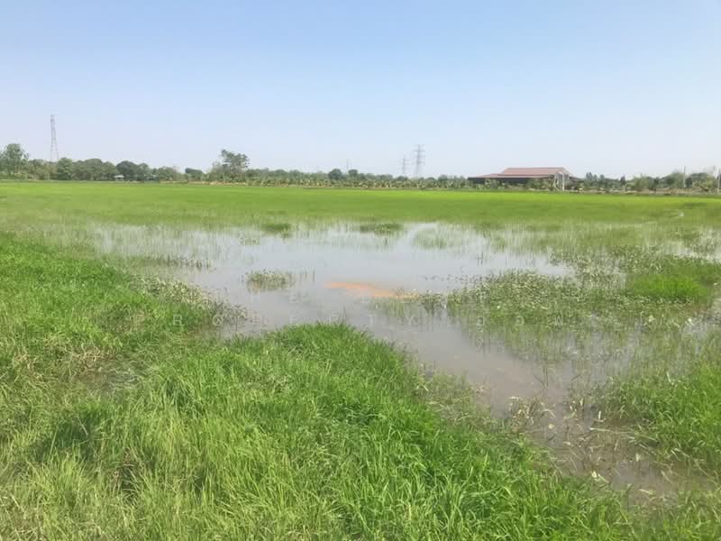 ที่ดินบ้านโพธิ์ ฉะเชิงเทรา, Chachoengsao, Laem Pradu, Ban Pho, Chachoengsao, , 29,584 sqm, Land For Sale, by The Best Property ออฟ, 500202862 - DDproperty.com