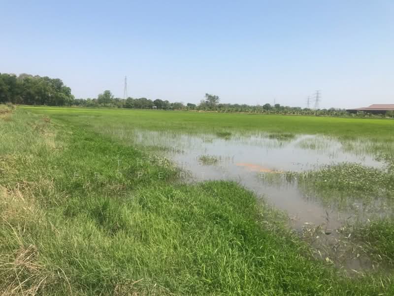 ที่ดินบ้านโพธิ์ ฉะเชิงเทรา, Chachoengsao, Laem Pradu, Ban Pho, Chachoengsao, , 29,584 sqm, Land For Sale, by The Best Property ออฟ, 500202862 - DDproperty.com