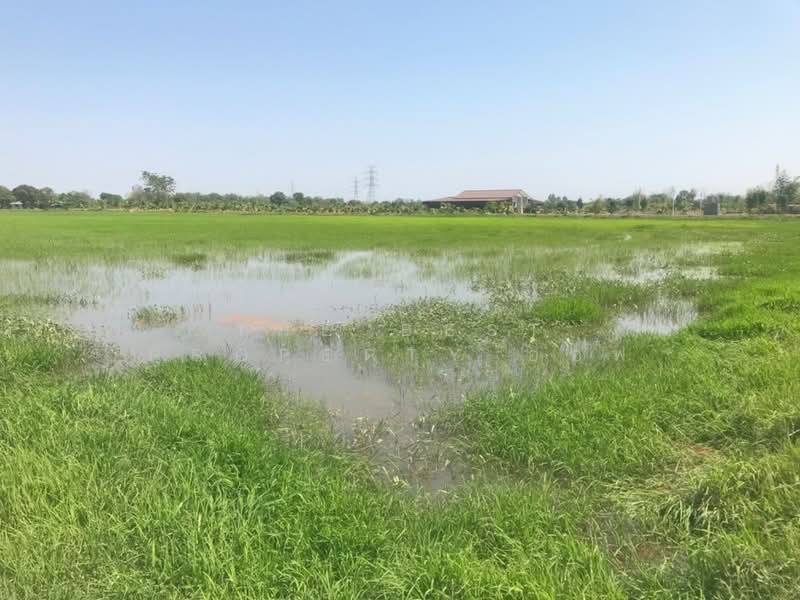 ที่ดินบ้านโพธิ์ ฉะเชิงเทรา, ฉะเชิงเทรา, แหลมประดู่, บ้านโพธิ์, ฉะเชิงเทรา, 29,584 ตร.ม., ที่ดิน ขาย, โดย The Best Property ออฟ, 500202862 - DDproperty.com