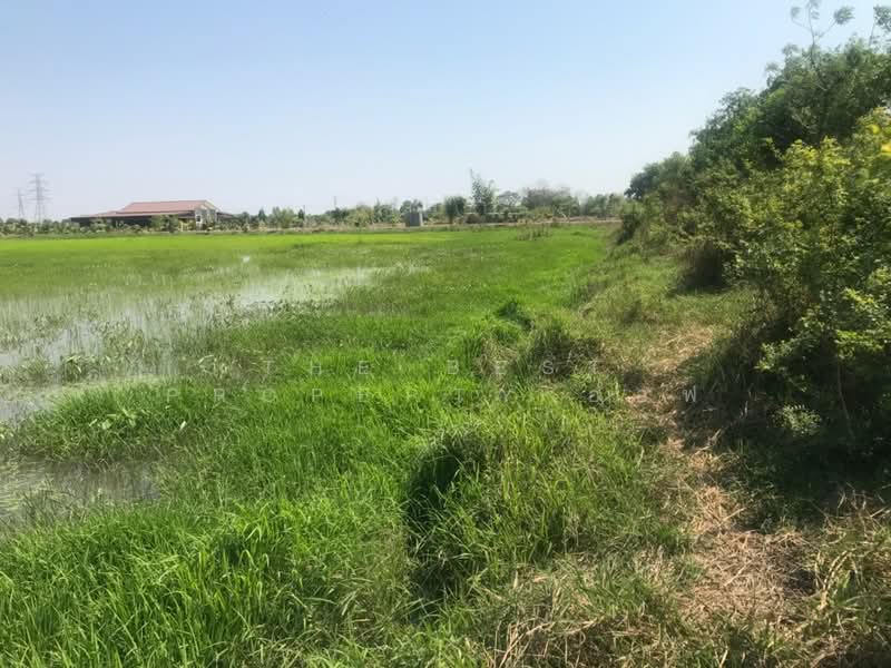 ที่ดินบ้านโพธิ์ ฉะเชิงเทรา, Chachoengsao, Laem Pradu, Ban Pho, Chachoengsao, , 29,584 sqm, Land For Sale, by The Best Property ออฟ, 500202862 - DDproperty.com