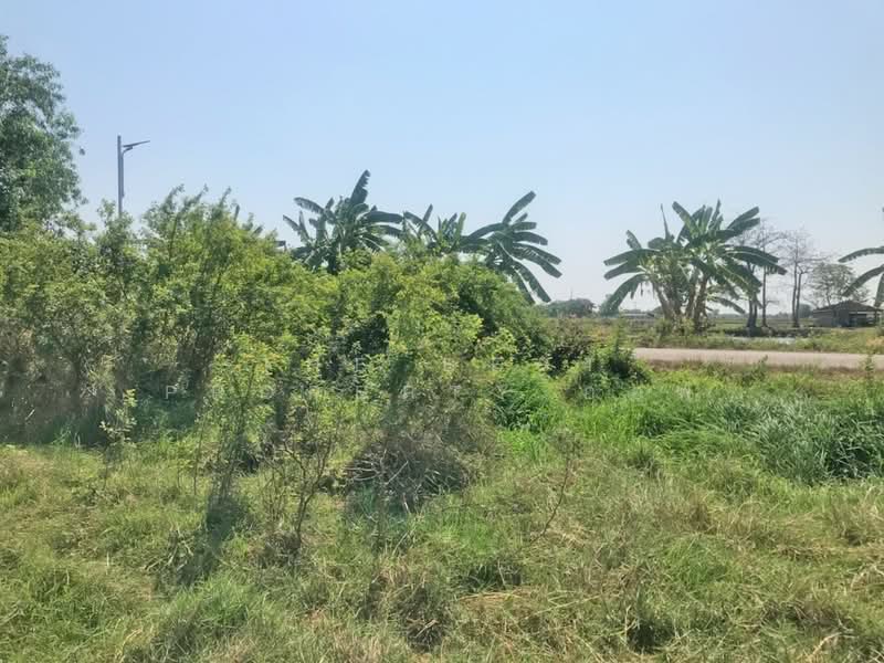 ที่ดินบ้านโพธิ์ ฉะเชิงเทรา, Chachoengsao, Laem Pradu, Ban Pho, Chachoengsao, , 29,584 sqm, Land For Sale, by The Best Property ออฟ, 500202862 - DDproperty.com