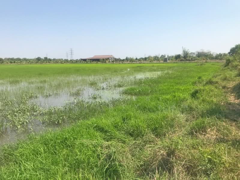 ที่ดินบ้านโพธิ์ ฉะเชิงเทรา, Chachoengsao, Laem Pradu, Ban Pho, Chachoengsao, , 29,584 sqm, Land For Sale, by The Best Property ออฟ, 500202862 - DDproperty.com
