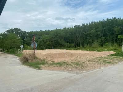 ขาย - ขายที่ดินทับมา 81 ตรว. ติดถนนคอนกรีต2ด้านถมแล้ว ใกล้หาดแสงจันทร์9กม. อ.เมืองระยอง, ระยอง