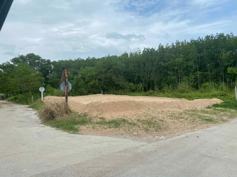 For Sale - Land for sale in Thap Ma, 81 square wa (approximately 324 square meters)., Rayong