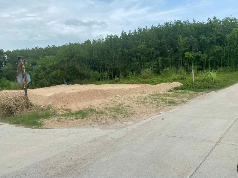 For Sale - Land for sale in Thap Ma, 81 square wa (approximately 324 square meters)., Rayong