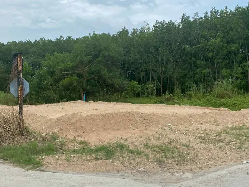 For Sale - Land for sale in Thap Ma, 81 square wa (approximately 324 square meters)., Rayong