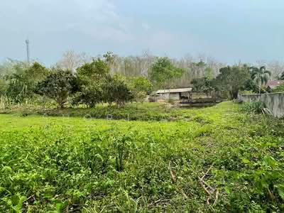 ขาย - ที่ดินแม่ริมสะลวง, เชียงใหม่