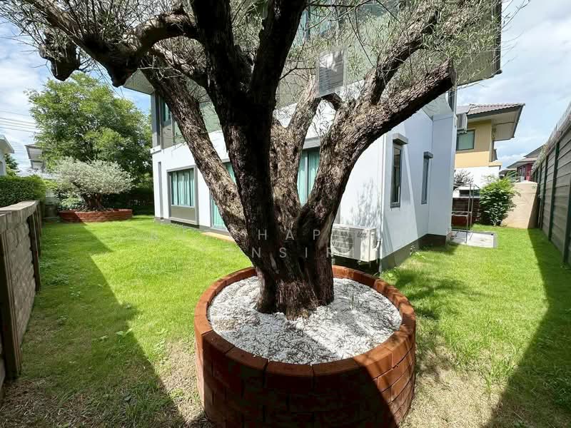 บ้านให้เช่า – ใกล้โรงเรียนต้นกล้าเพียง 5 นาที ค่าเช่า 65,000 บาท / เดือน รหัสทรัพย์ : No.5H640, เชียงใหม่, สันผีเสื้อ, เมืองเชียงใหม่, เชียงใหม่, 190 ตร.ม., บ้านเดี่ยว ให้เช่า, โดย Rutchaporn Tunsiri, 500202889 - DDproperty.com