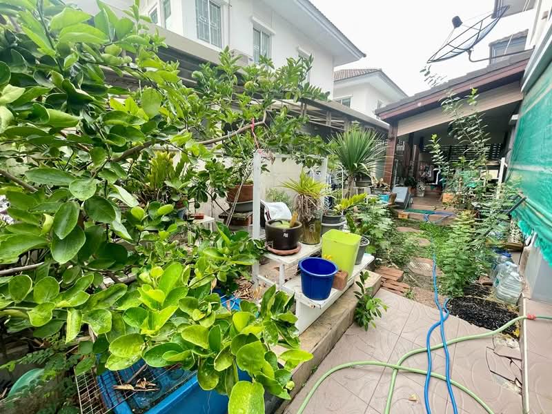 Pruksa Village The Season Kanchanaphisek – Bangyai : พฤกษาวิลเลจ เดอะซีซัน กาญจนาภิเษก – บางใหญ่, นนทบุรี, ถนนกาญจนาภิเษก, บางใหญ่, บางใหญ่, นนทบุรี, 150 ตร.ม., บ้านเดี่ยว ขาย, โดย กรณวัสส์ กัณฑวัสส์วงส์, 500202920 - DDproperty.com