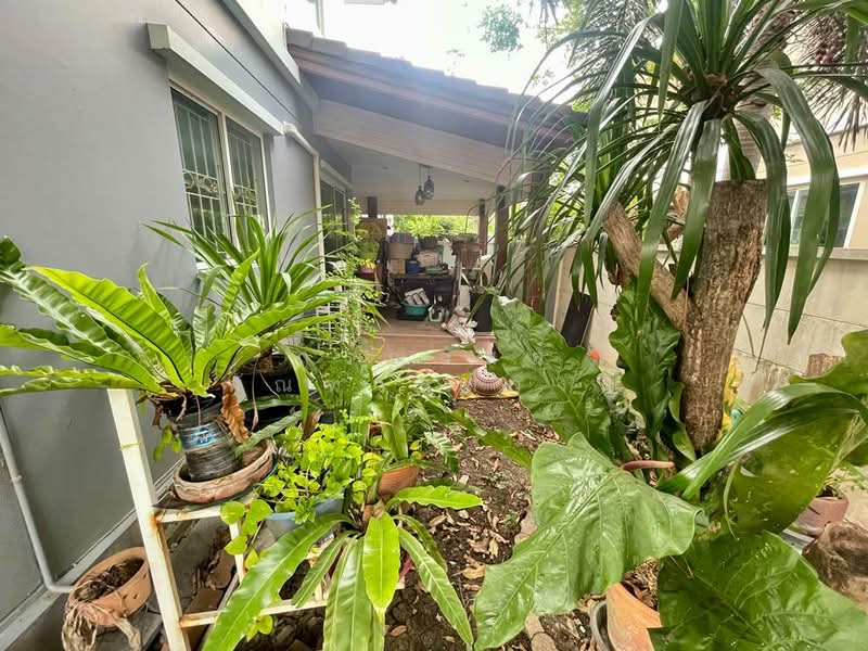 Pruksa Village The Season Kanchanaphisek – Bangyai, Nonthaburi, Kanchanapisek Road, Bang Yai, Bang Yai, Nonthaburi, 3 Bedrooms, 150 sqm, Single Detached House For Sale, by กรณวัสส์ กัณฑวัสส์วงส์, 500202920 - DDproperty.com