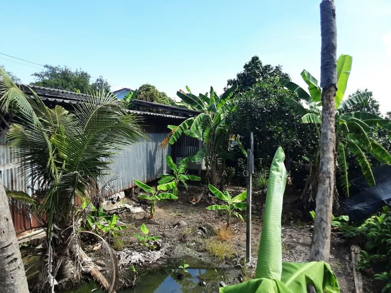 ที่ดินบางแค กรุงเทพมหานคร, Bangkok, Lak Song, Bang Khae, Bangkok, , 5,544 sqm, Land For Sale, by The Best Property Agent เสือ, 500202947 - DDproperty.com