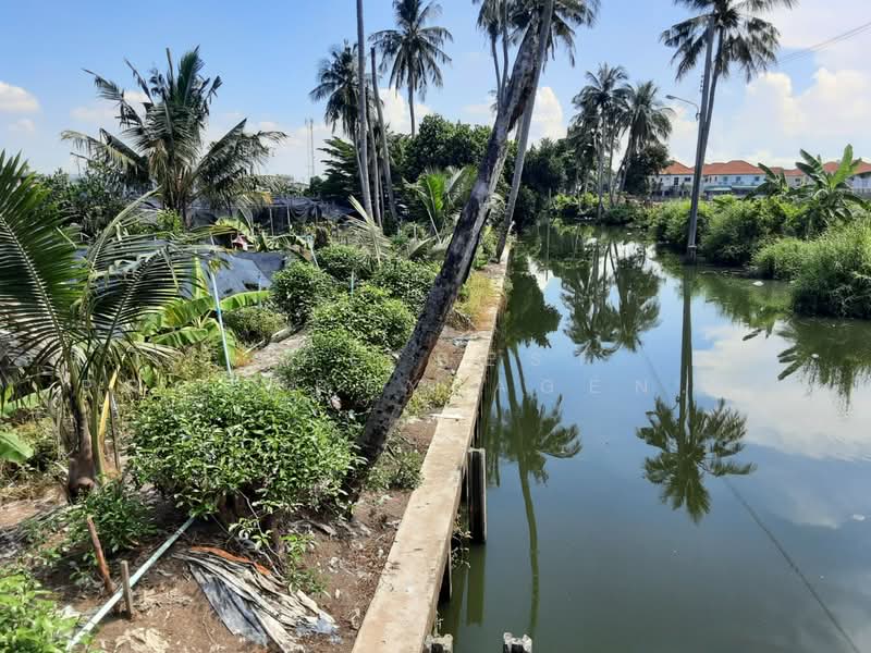 ที่ดินบางแค กรุงเทพมหานคร, กรุงเทพ, หลักสอง, บางแค, กรุงเทพ, 5,544 ตร.ม., ที่ดิน ขาย, โดย The Best Property Agent เสือ, 500202947 - DDproperty.com