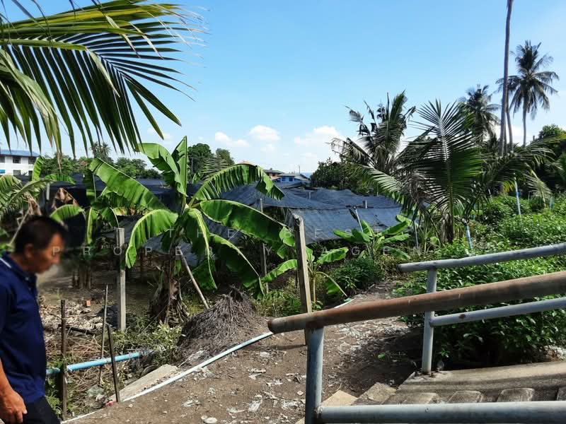 ที่ดินบางแค กรุงเทพมหานคร, Bangkok, Lak Song, Bang Khae, Bangkok, , 5,544 sqm, Land For Sale, by The Best Property Agent เสือ, 500202947 - DDproperty.com