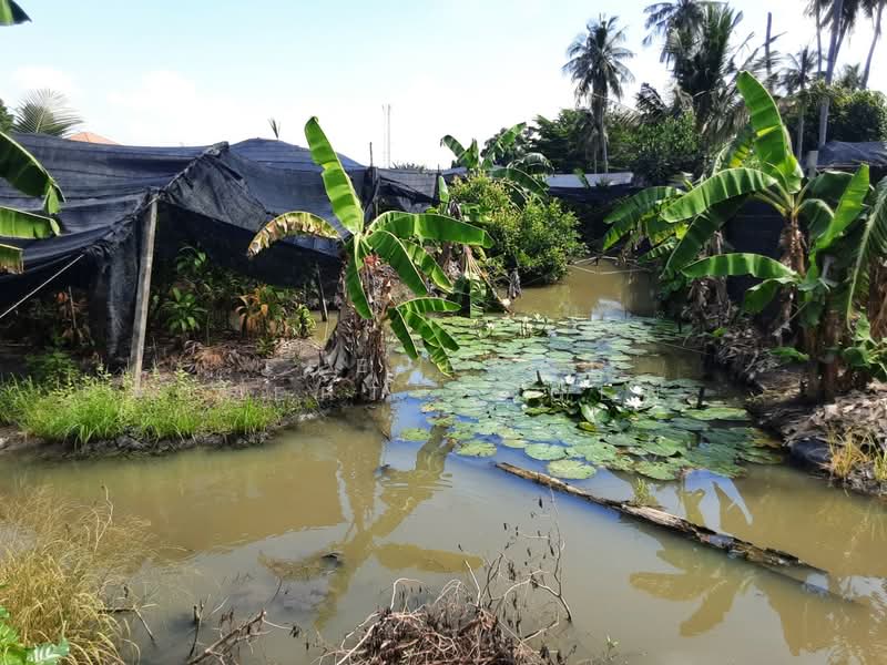 ที่ดินบางแค กรุงเทพมหานคร, กรุงเทพ, หลักสอง, บางแค, กรุงเทพ, 5,544 ตร.ม., ที่ดิน ขาย, โดย The Best Property Agent เสือ, 500202947 - DDproperty.com