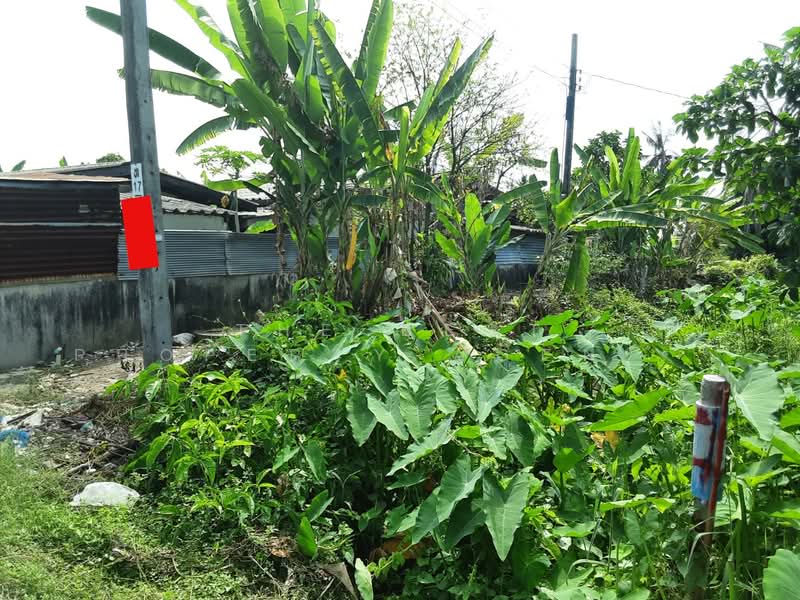 ที่ดินบางแค กรุงเทพมหานคร, Bangkok, Lak Song, Bang Khae, Bangkok, , 5,544 sqm, Land For Sale, by The Best Property Agent เสือ, 500202947 - DDproperty.com