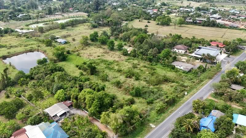 ที่ดินเปล่า 4 ไร่ ติดถนนใหญ่ นย.2003 ป่าขะ นครนายก, นครนายก, นย.2003 (บ้านนา-ป่าขะ), ป่าขะ, บ้านนา, นครนายก, 6,400 ตร.ม., ที่ดิน ขาย, โดย คุณ สุพรรษา ( ไปร์ท ), 500202951 - DDproperty.com