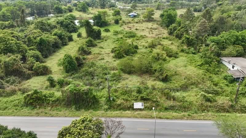 ที่ดินเปล่า 4 ไร่ ติดถนนใหญ่ นย.2003 ป่าขะ นครนายก, นครนายก, นย.2003 (บ้านนา-ป่าขะ), ป่าขะ, บ้านนา, นครนายก, 6,400 ตร.ม., ที่ดิน ขาย, โดย คุณ สุพรรษา ( ไปร์ท ), 500202951 - DDproperty.com