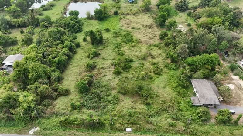 ที่ดินเปล่า 4 ไร่ ติดถนนใหญ่ นย.2003 ป่าขะ นครนายก, นครนายก, นย.2003 (บ้านนา-ป่าขะ), ป่าขะ, บ้านนา, นครนายก, 6,400 ตร.ม., ที่ดิน ขาย, โดย คุณ สุพรรษา ( ไปร์ท ), 500202951 - DDproperty.com