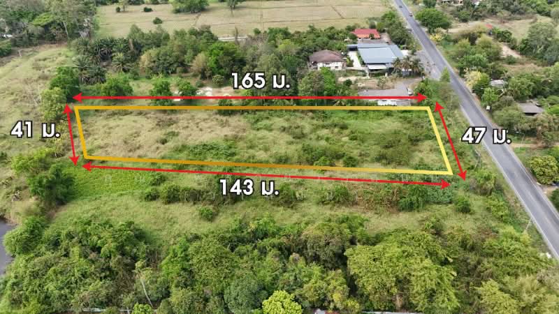 ที่ดินเปล่า 4 ไร่ ติดถนนใหญ่ นย.2003 ป่าขะ นครนายก, Nakhon Nayok, นย.2003 (บ้านนา-ป่าขะ), Pa Kha, Ban Na, Nakhon Nayok, , 6,400 sqm, Land For Sale, by คุณ พลอยวาลินน์ (วาลินน์), 500202951 - DDproperty.com