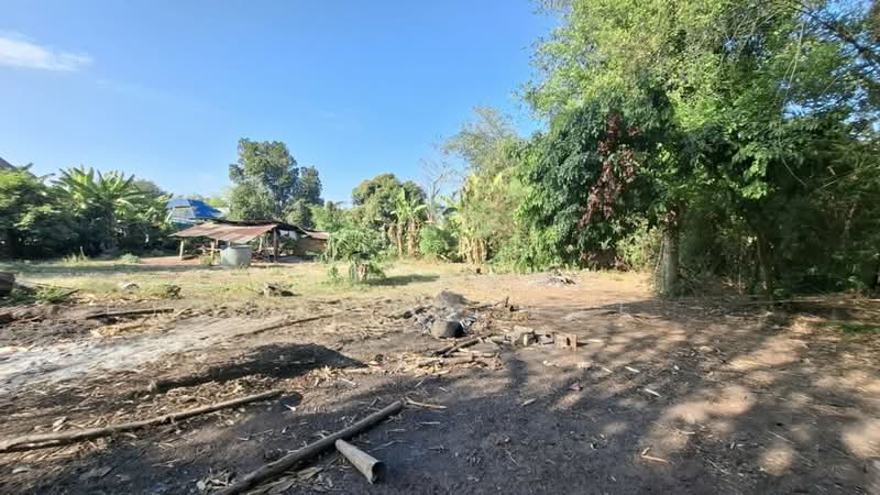 ที่ดินเหนือเมือง ร้อยเอ็ด, Roi Et, Nua Muang, Muang Roi Et, Roi Et, , 1,184 sqm, Land For Sale, by The Best Property Agent ทองใบ, 500202964 - DDproperty.com