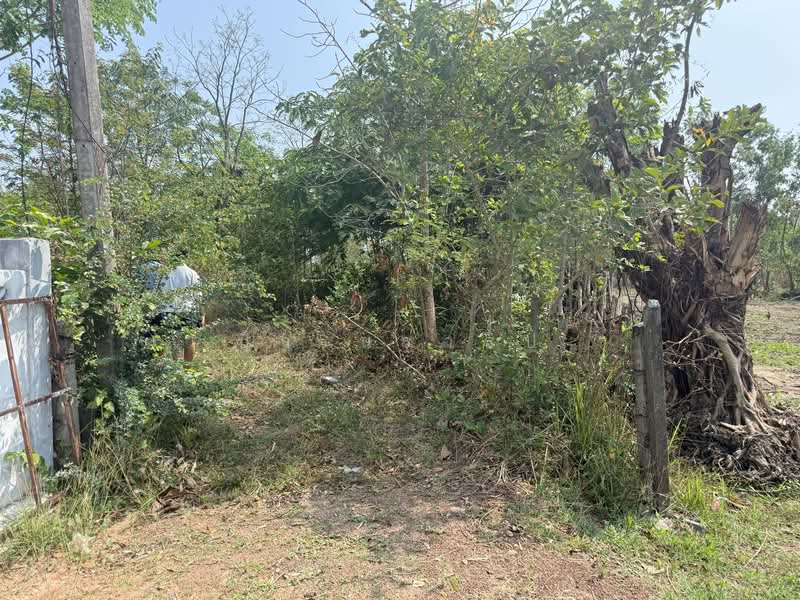 ขาย - ขายที่ดิน 3.1.42 ไร่, อุดรธานี