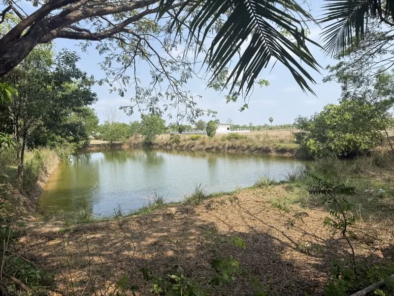 ขาย - ขายที่ดิน 3.1.42 ไร่, อุดรธานี