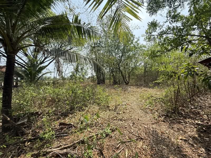 ขาย - ขายที่ดิน 3.1.42 ไร่, อุดรธานี