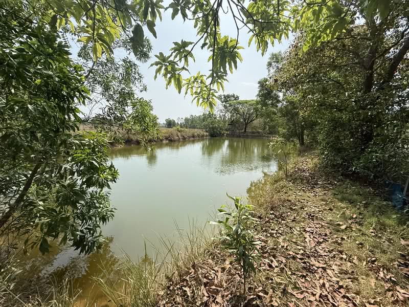 ขาย - ขายที่ดิน 3.1.42 ไร่, อุดรธานี