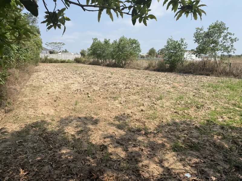 ขายที่ดิน 3.1.42 ไร่, Udon Thani, Nong Na Kham, Muang Udon Thani, Udon Thani, , 5,368 sqm, Land For Sale, by บิว นราธิป, 500203007 - DDproperty.com