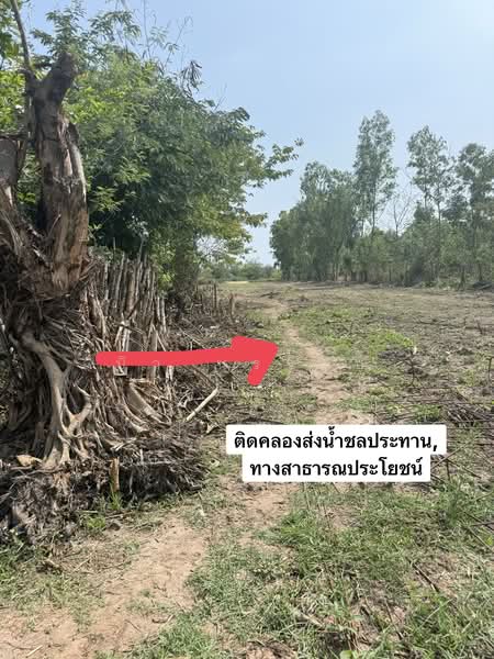 ขาย - ขายที่ดิน 3.1.42 ไร่, อุดรธานี