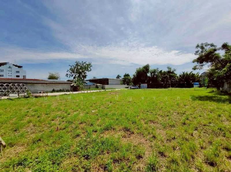 WPDD-106 ขายที่ดิน 2 แปลงติดกัน สุขุมวิท101 ซอยปุณณวิถี39, Bangkok, Bang Chak, Phra Khanong, Bangkok, , 3,056 sqm, Land For Sale, by วันวิสาข์ ปัญจรงคะ, 500203014 - DDproperty.com