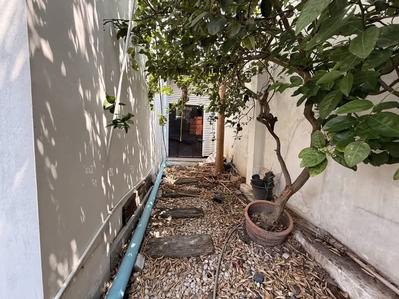 Baan Klang Muang S-Sense Onnuch-Wongwan : บ้านกลางเมือง เอสเซ้นส์ อ่อนนุช – วงแหวน, กรุงเทพ, ถนนลาดกระบัง, ลาดกระบัง, ลาดกระบัง, กรุงเทพ, 128 ตร.ม., ทาวน์เฮ้าส์ ขาย, โดย ณัฐวิชย์ จุลพันธ์, 500203034 - DDproperty.com