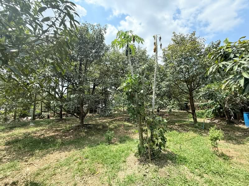 ที่ดินท่าช้าง จันทบุรี, Chanthaburi, Tha Chang, Muang Chanthaburi, Chanthaburi, , 1,204 sqm, Land For Sale, by The Best Property Agent เมญ่า, 500203234 - DDproperty.com