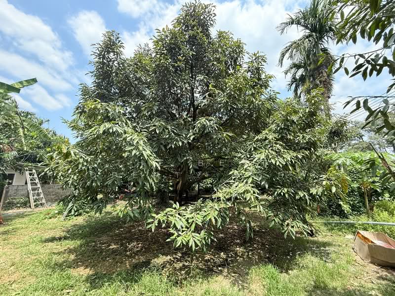 ที่ดินท่าช้าง จันทบุรี, จันทบุรี, ท่าช้าง, เมืองจันทบุรี, จันทบุรี, 1,204 ตร.ม., ที่ดิน ขาย, โดย The Best Property Agent เมญ่า, 500203234 - DDproperty.com