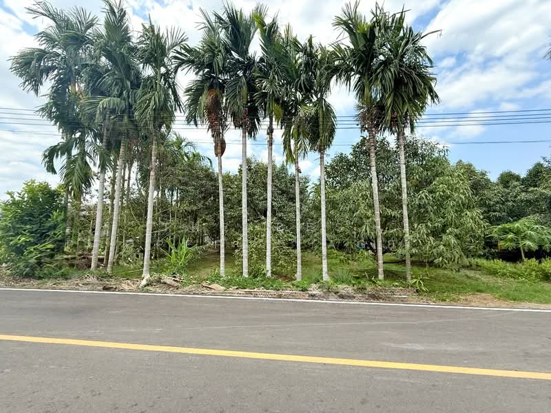 ที่ดินท่าช้าง จันทบุรี, จันทบุรี, ท่าช้าง, เมืองจันทบุรี, จันทบุรี, 1,204 ตร.ม., ที่ดิน ขาย, โดย The Best Property Agent เมญ่า, 500203234 - DDproperty.com