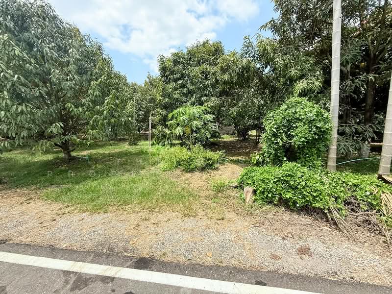 ที่ดินท่าช้าง จันทบุรี, Chanthaburi, Tha Chang, Muang Chanthaburi, Chanthaburi, , 1,204 sqm, Land For Sale, by The Best Property Agent เมญ่า, 500203234 - DDproperty.com