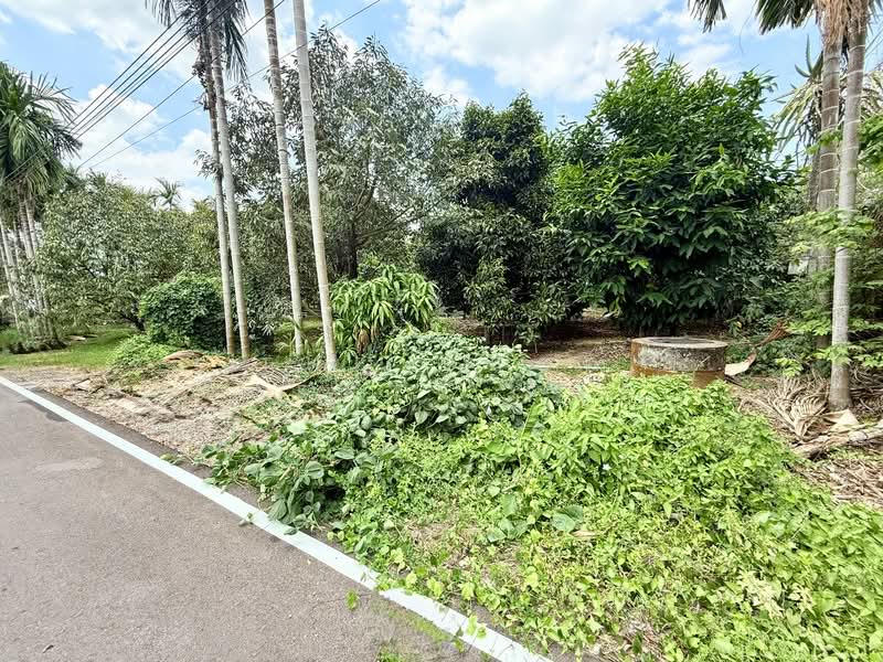 ที่ดินท่าช้าง จันทบุรี, Chanthaburi, Tha Chang, Muang Chanthaburi, Chanthaburi, , 1,204 sqm, Land For Sale, by The Best Property Agent เมญ่า, 500203234 - DDproperty.com
