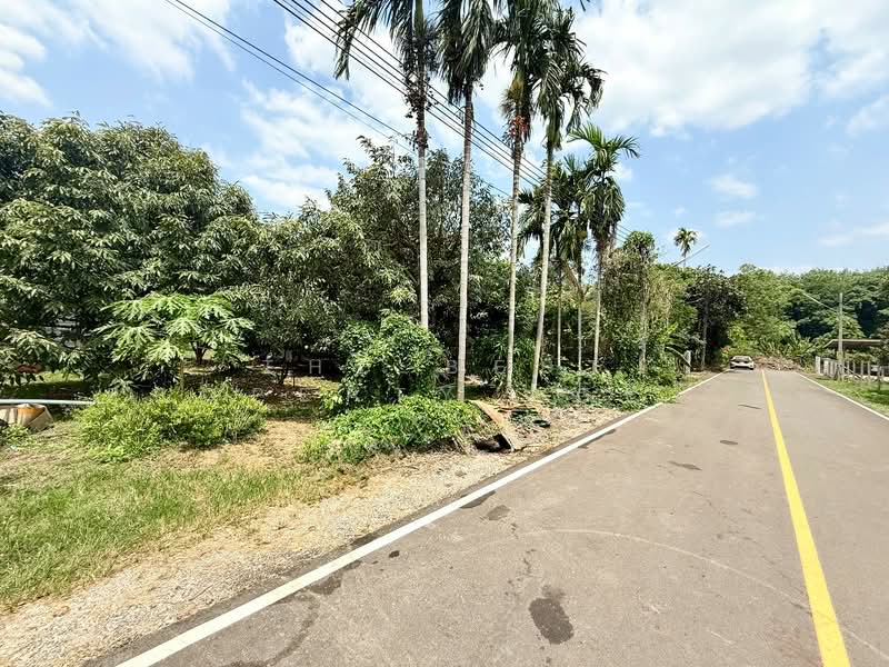 ที่ดินท่าช้าง จันทบุรี, จันทบุรี, ท่าช้าง, เมืองจันทบุรี, จันทบุรี, 1,204 ตร.ม., ที่ดิน ขาย, โดย The Best Property Agent เมญ่า, 500203234 - DDproperty.com