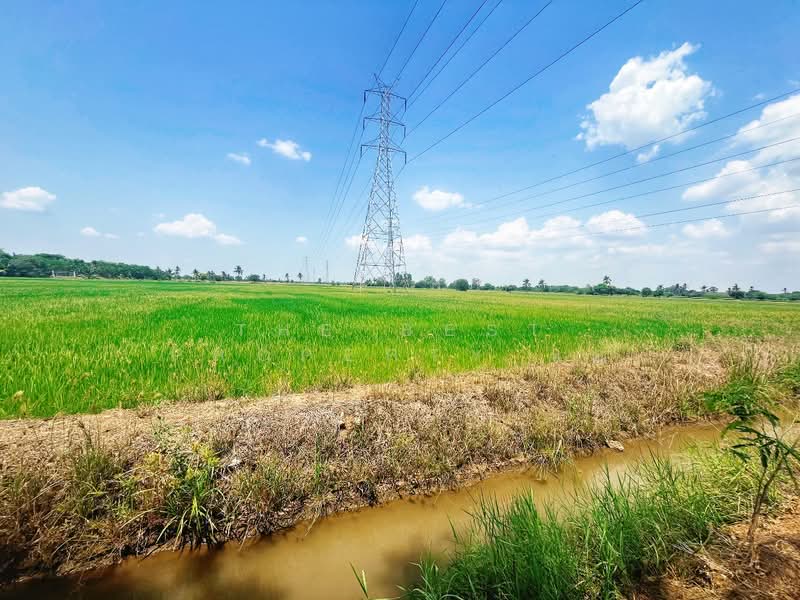 ที่ดินสรรพยา ชัยนาท, Chai Nat, Sanphaya, Sanphaya, Chai Nat, , 10,900 sqm, Land For Sale, by The Best Property แอ้, 500203276 - DDproperty.com