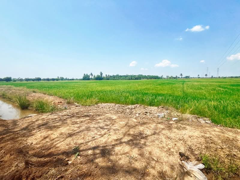 ที่ดินสรรพยา ชัยนาท, Chai Nat, Sanphaya, Sanphaya, Chai Nat, , 10,900 sqm, Land For Sale, by The Best Property แอ้, 500203276 - DDproperty.com