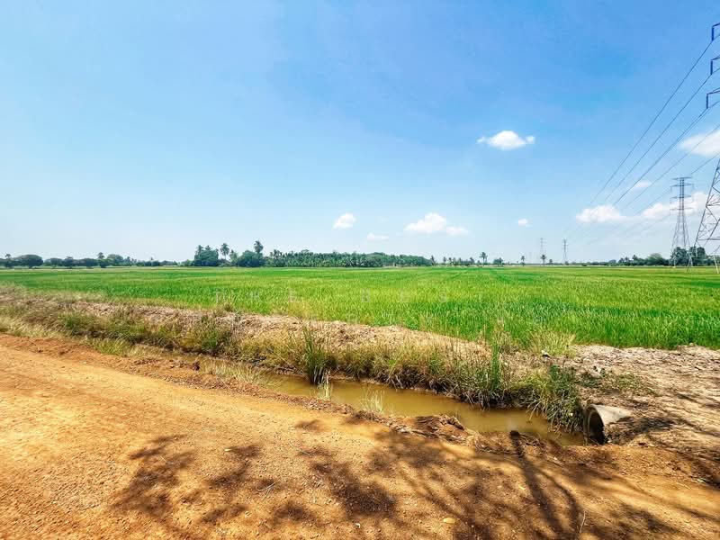 ที่ดินสรรพยา ชัยนาท, Chai Nat, Sanphaya, Sanphaya, Chai Nat, , 10,900 sqm, Land For Sale, by The Best Property แอ้, 500203276 - DDproperty.com