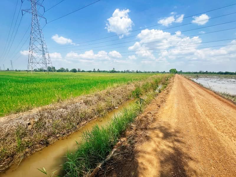 ที่ดินสรรพยา ชัยนาท, Chai Nat, Sanphaya, Sanphaya, Chai Nat, , 10,900 sqm, Land For Sale, by The Best Property แอ้, 500203276 - DDproperty.com