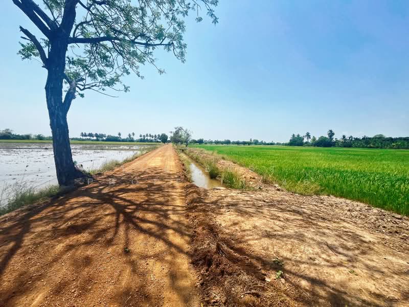 ที่ดินสรรพยา ชัยนาท, ชัยนาท, สรรพยา, สรรพยา, ชัยนาท, 10,900 ตร.ม., ที่ดิน ขาย, โดย The Best Property แอ้, 500203276 - DDproperty.com